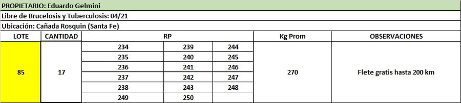 Lote Lote 85 Gelmini Eduardo