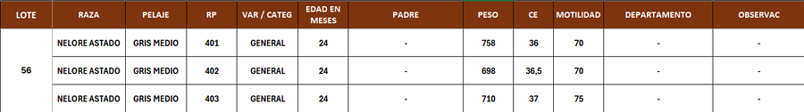 Lote LOTE 56