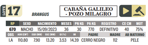 Lote LOTE 17