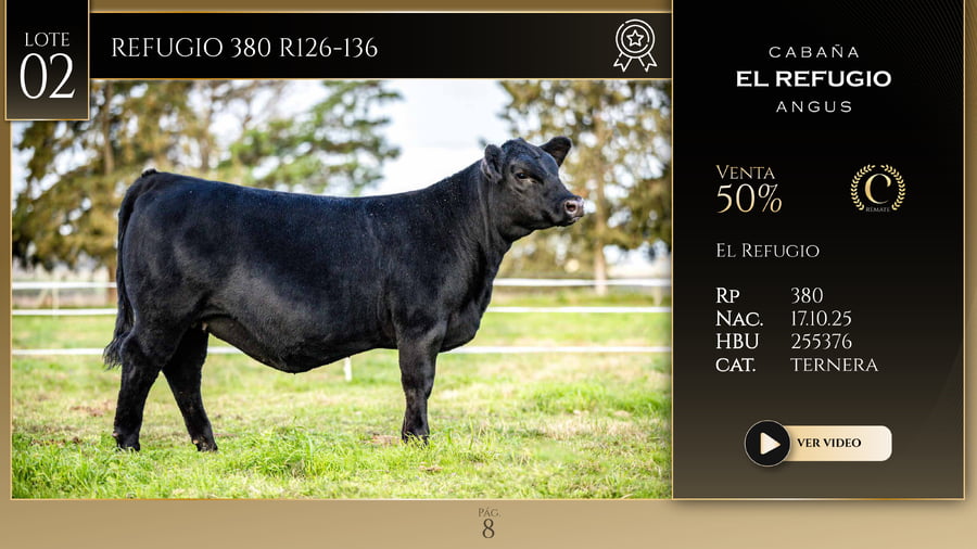 Lote REFUGIO 380 R126-136