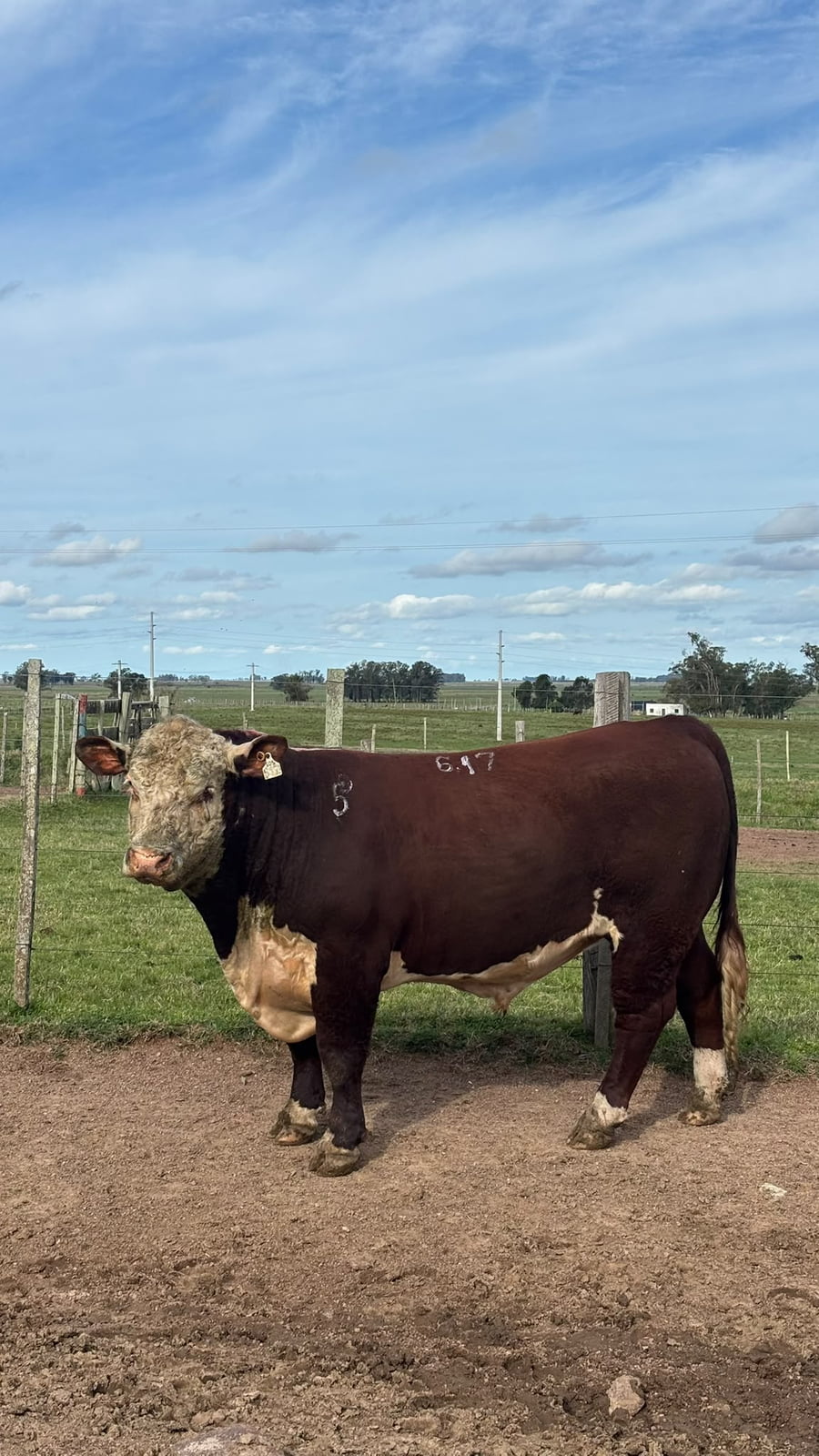 Lote Doña Elisa RP 617