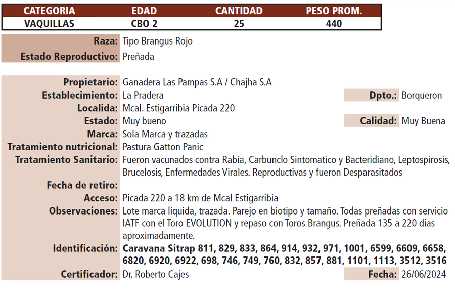 Lote LOTE F