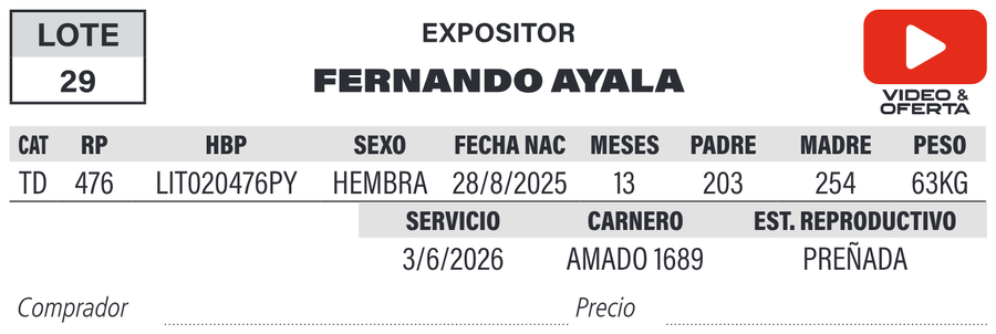 Lote LOTE 29