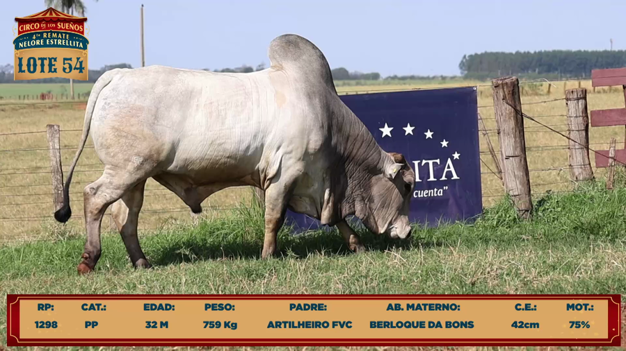 Lote LOTE 54