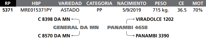 Lote LOTE 53  RP 5371