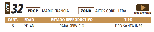 Lote LOTE 32 -POR PANTALLA