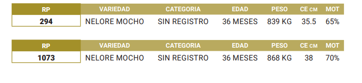 Lote LOTE 21