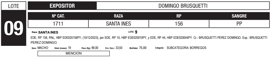 Lote LOTE 9
