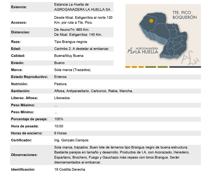 Lote Lote 22
