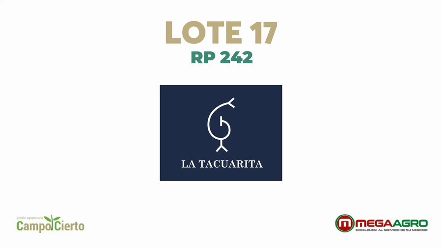 Lote LA TACUARITA