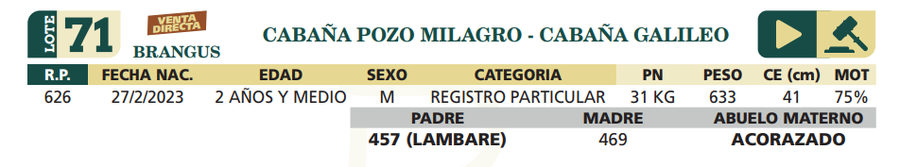 Lote LOTE 71