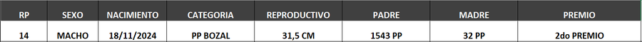 Lote LOTE 13- BOZAL