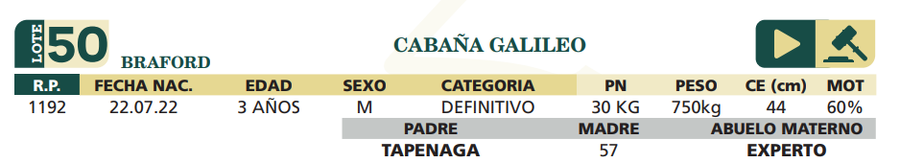 Lote LOTE 50