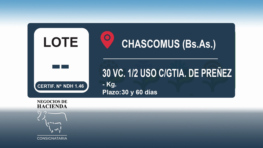 Lote 30 Vacas medio uso C/ gtia de preñez en Buenos Aires, Chascomús