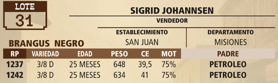 Lote LOTE 31 - VIVO