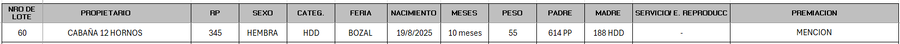 Lote LOTE 60 - BOZAL