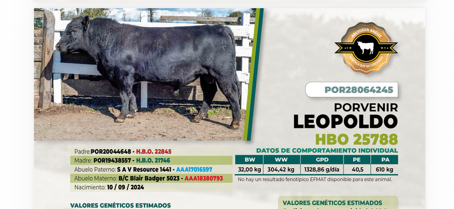 Lote 1 Toro LEOPOLDO DIIO 4245