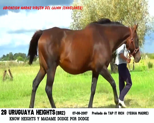 Lote URUGUAYA HEIGHTS (BRZ)