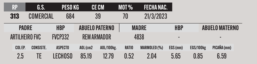 Lote LOTE 8