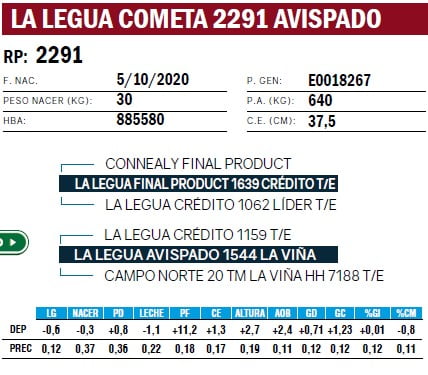 Lote TOROS ANGUS PURO DE PEDIGREE