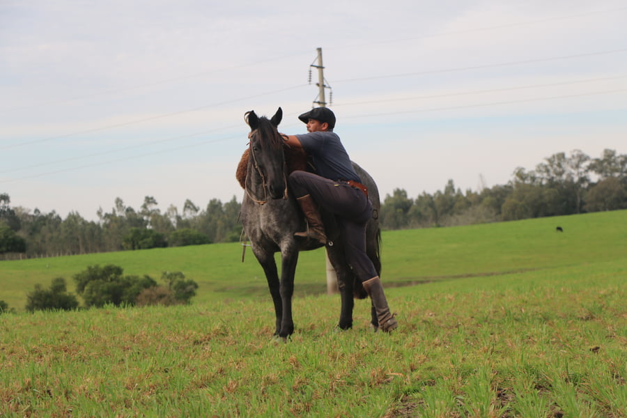 Lote TAPADA DEL CONVENTOS