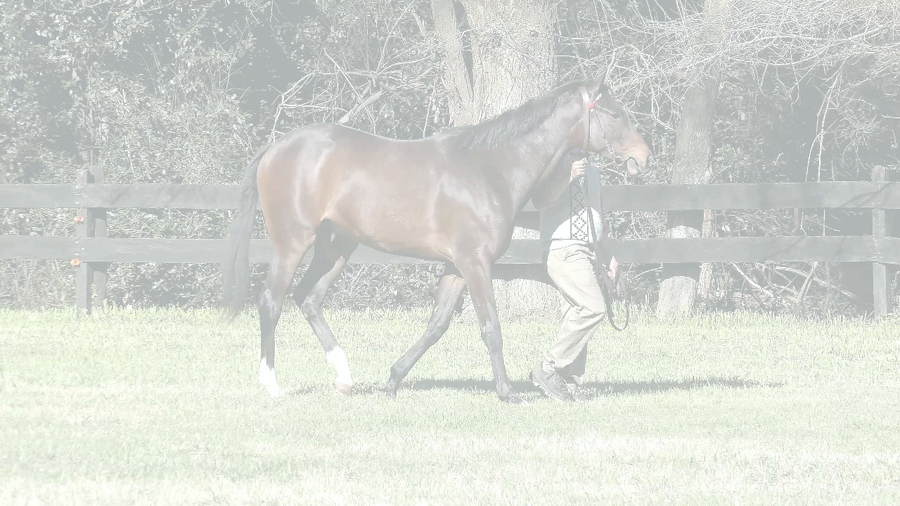 Lote WYOMING TIME (ANNALS OF TIME - CALIFORNIANA)