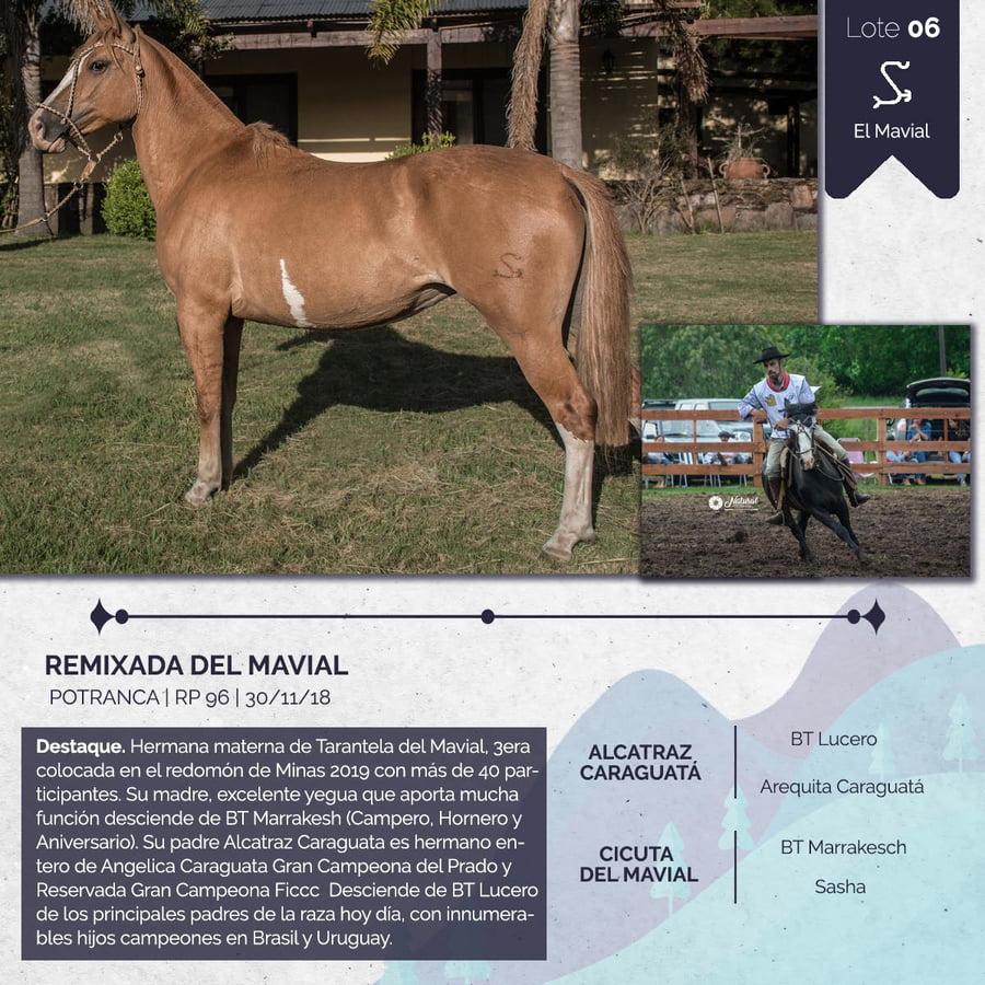 Lote REMIXADA DEL MAVIAL