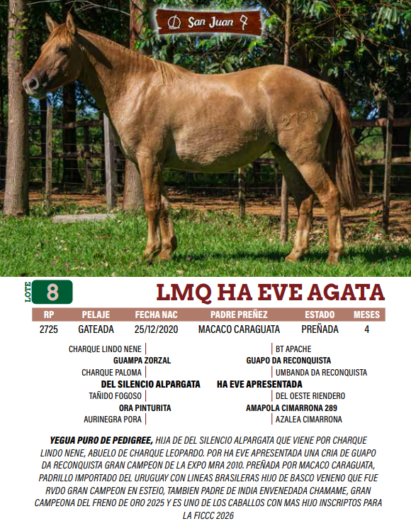 Lote LOTE 8