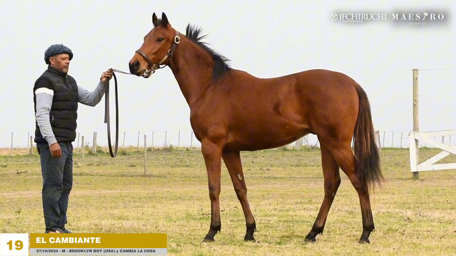 Lote EL CAMBIANTE