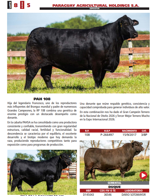 Lote LOTE 8