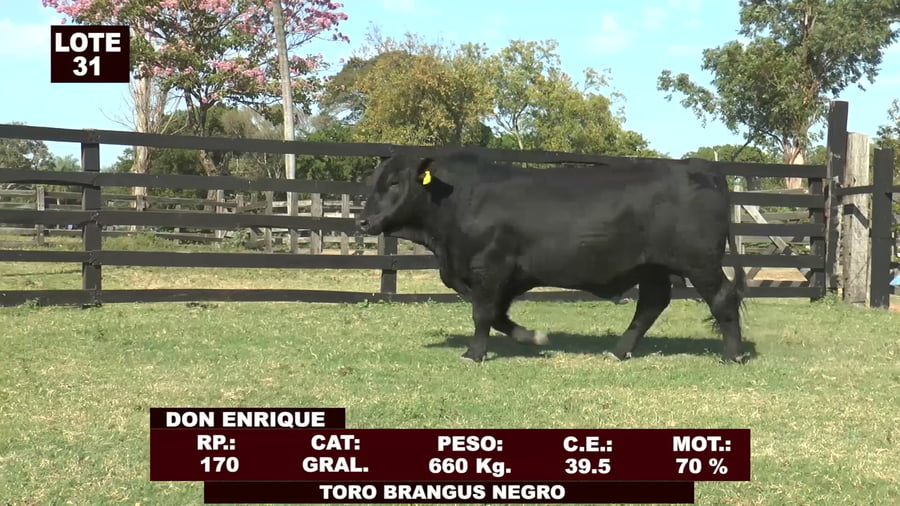 Lote Cabañas de Tradición - Lote 31