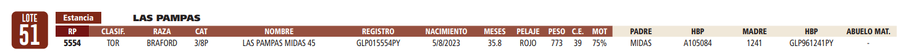 Lote LOTE 51
