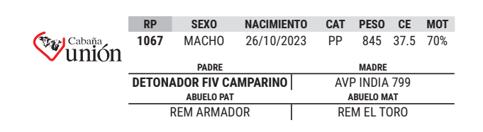 Lote LOTE 40