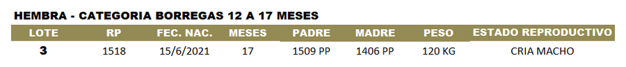 Lote LOTE 3 - CABAÑA ARGENTINA