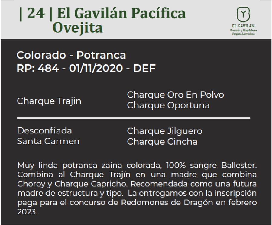 Lote El Gavilán Pacífica Ovejita (RP 484) Cabaña "El Gavilán"