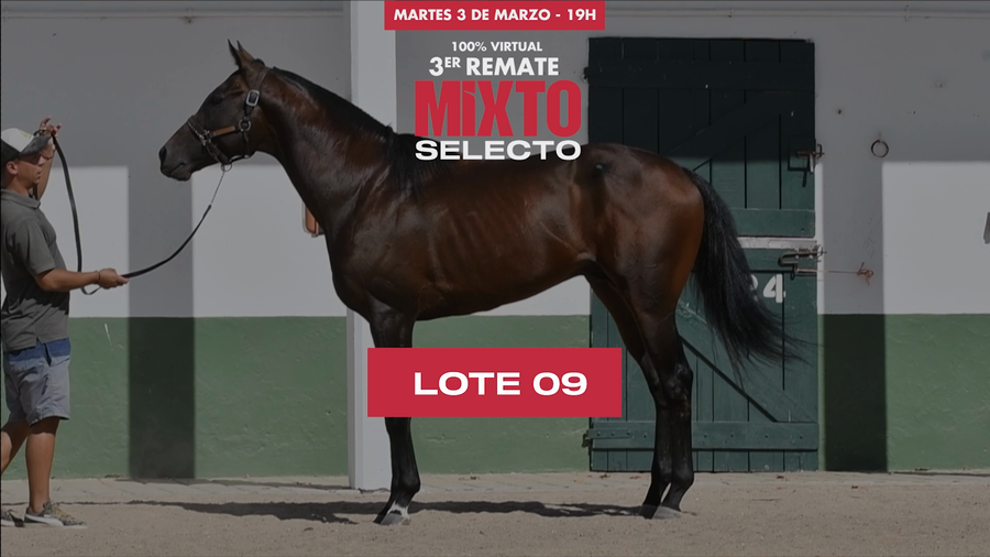 Lote EL CACHARPA (ARG)