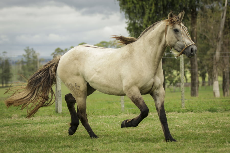 Lote Reserva 526 De La Casilla