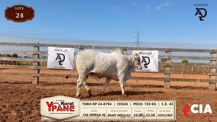 Lote Lote 24