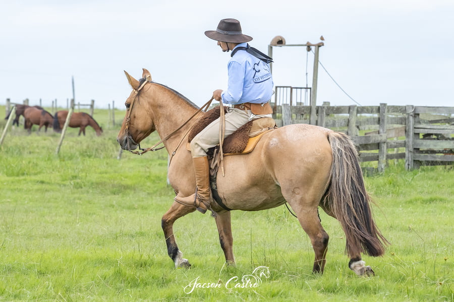 Lote Lansera Del Pago