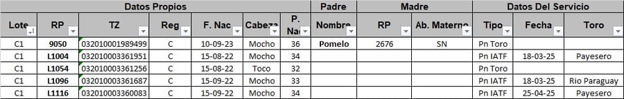 Lote 5 Vaquillonas preñadas
