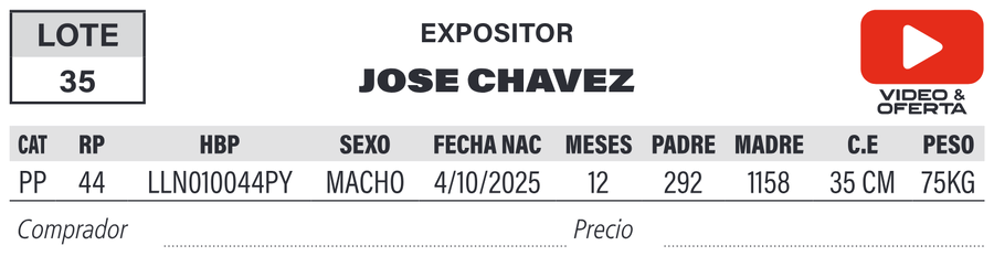 Lote LOTE 35