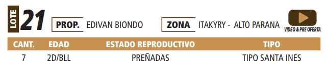 Lote LOTE 21 -POR PANTALLA