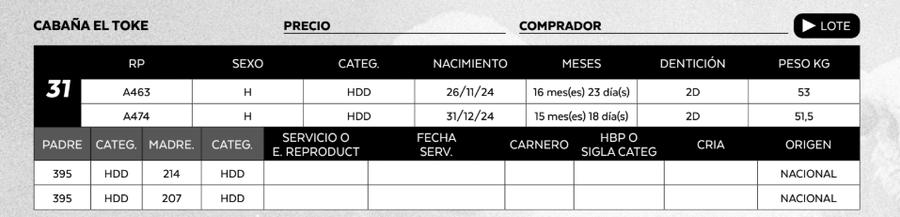 Lote LOTE 31