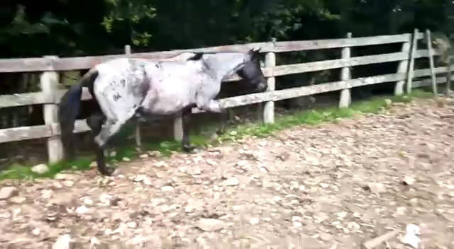 Lote Badana Los Corrales (RP 29) - Cabaña Los Corrales