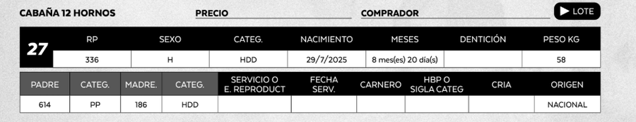Lote LOTE 27