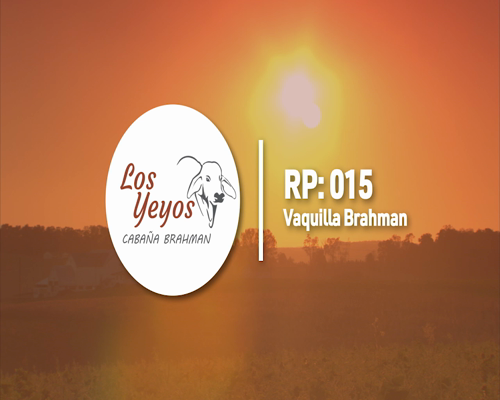 Lote CABAÑA "LOS YEYOS" rp15