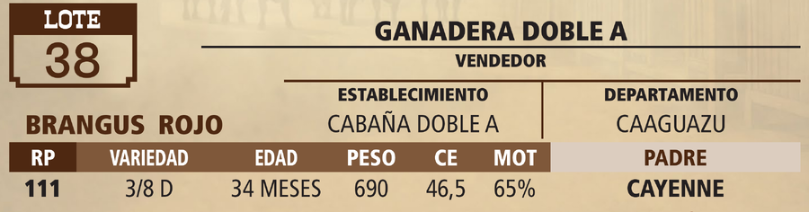 Lote LOTE 38 - VIVO