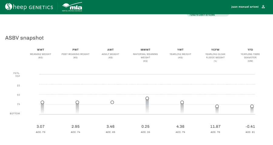Lote Carnero TOP, 20-1253