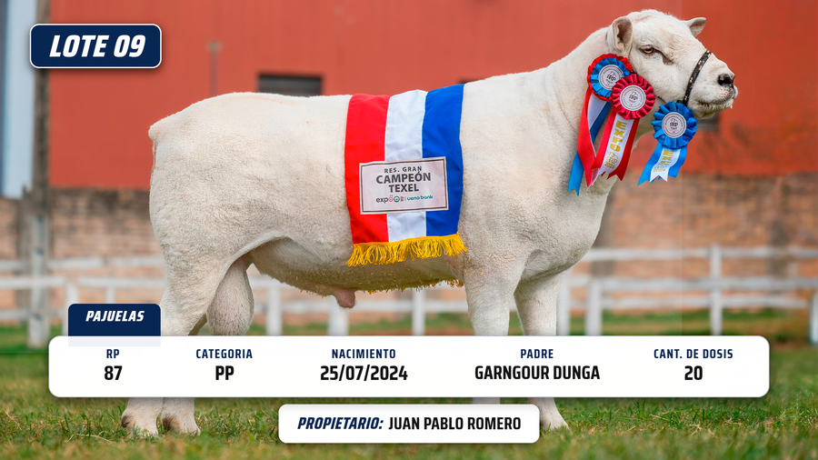 Lote LOTE 9