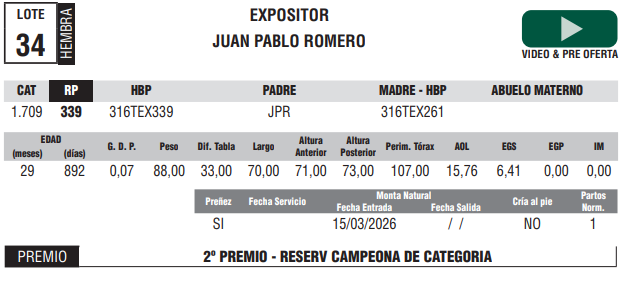 Lote LOTE 34